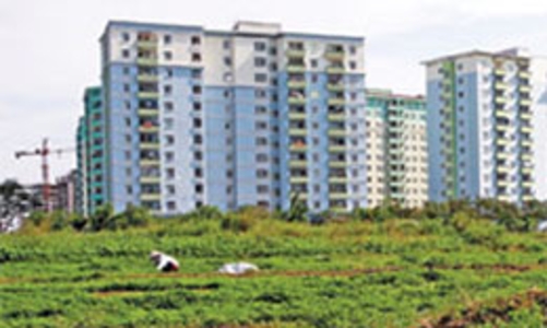 Quy hoạch và cơn say giá đất