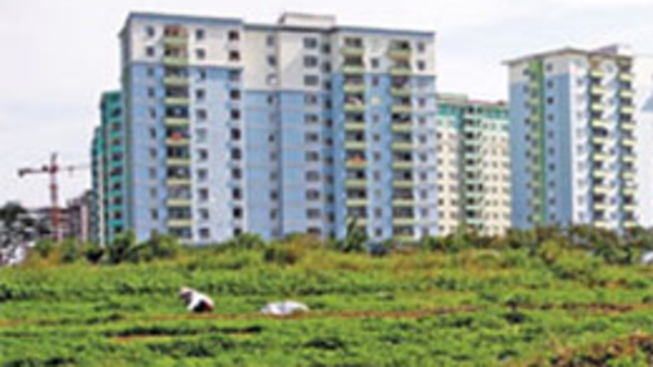 Quy hoạch và cơn say giá đất