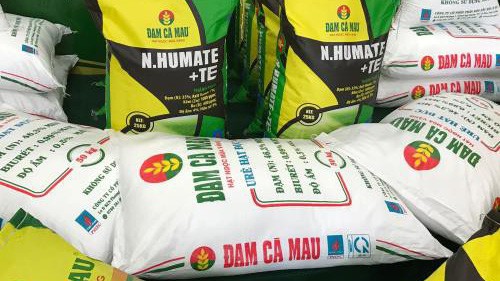DCM đang triển khai kế hoạch thoái vốn của PVN xuống còn 51% theo đúng lộ trình đã được phê duyệt.