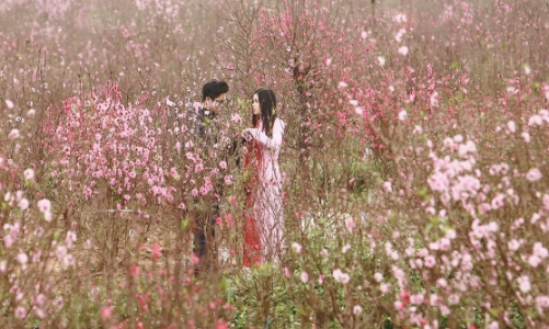 Nông dân trồng hoa hy vọng vào thời tiết 