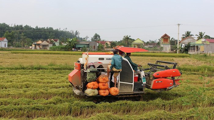 Chính phủ đã có văn bản yêu cầu các bộ ngành, địa phương đẩy mạnh việc thực hiện tích tụ, tập trung đất đai trên cơ sở đảm bảo hài hòa lợi ích của Nhà nước, của nhà đầu tư và đặc biệt là lợi ích của người nông dân.
