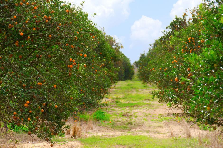 15 chủ đất lớn nhất tại Mỹ - Ảnh 15.