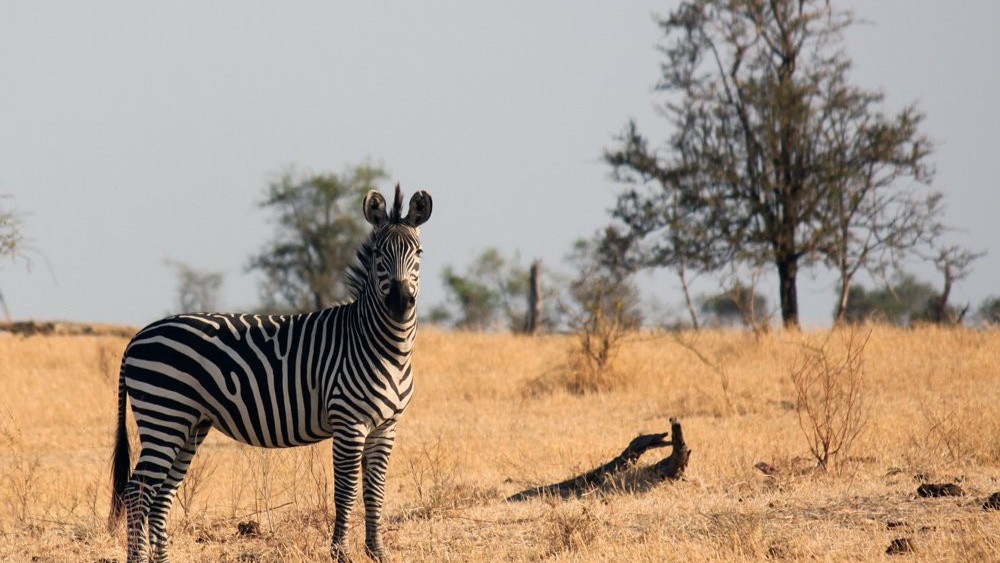 undefined - Ảnh 11.