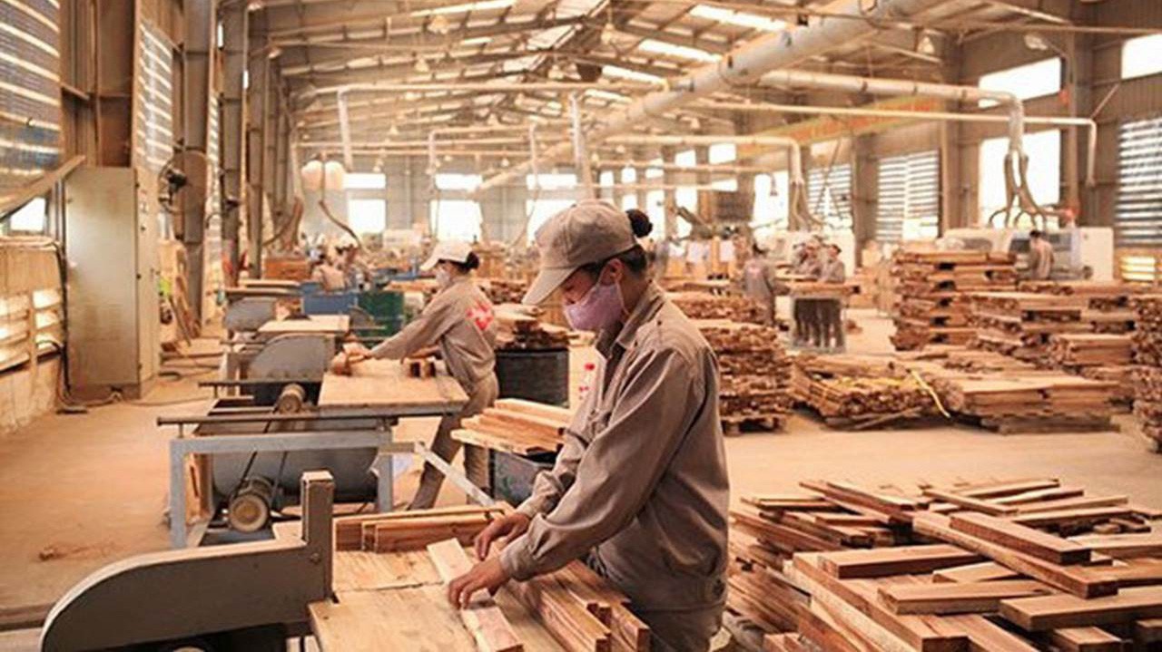 Phấn đấu đưa kim ngạch xuất khẩu gỗ và lâm sản ngoài gỗ năm 2019 đạt 11 tỷ USD.