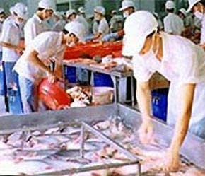 Mùi vị, chất lượng sản phẩm, độ an toàn vệ sinh của các loại thực phẩm chế biến sẵn là điều mà người tiêu dùng châu Âu đặc biệt quan tâm.