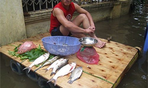 CPI tháng 11: Hà Nội tăng mạnh, Tp.HCM giảm nhanh