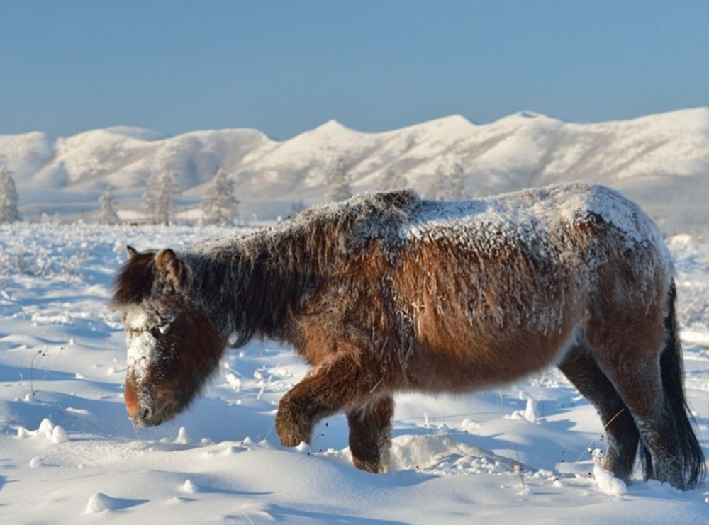 undefined - Ảnh 18.