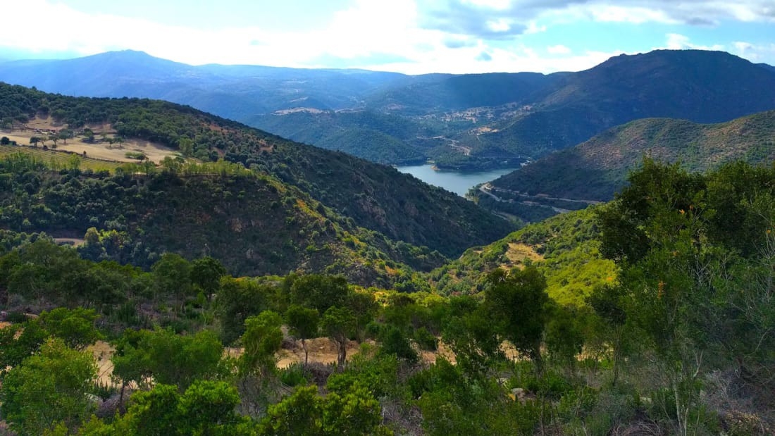 undefined - Ảnh 13.