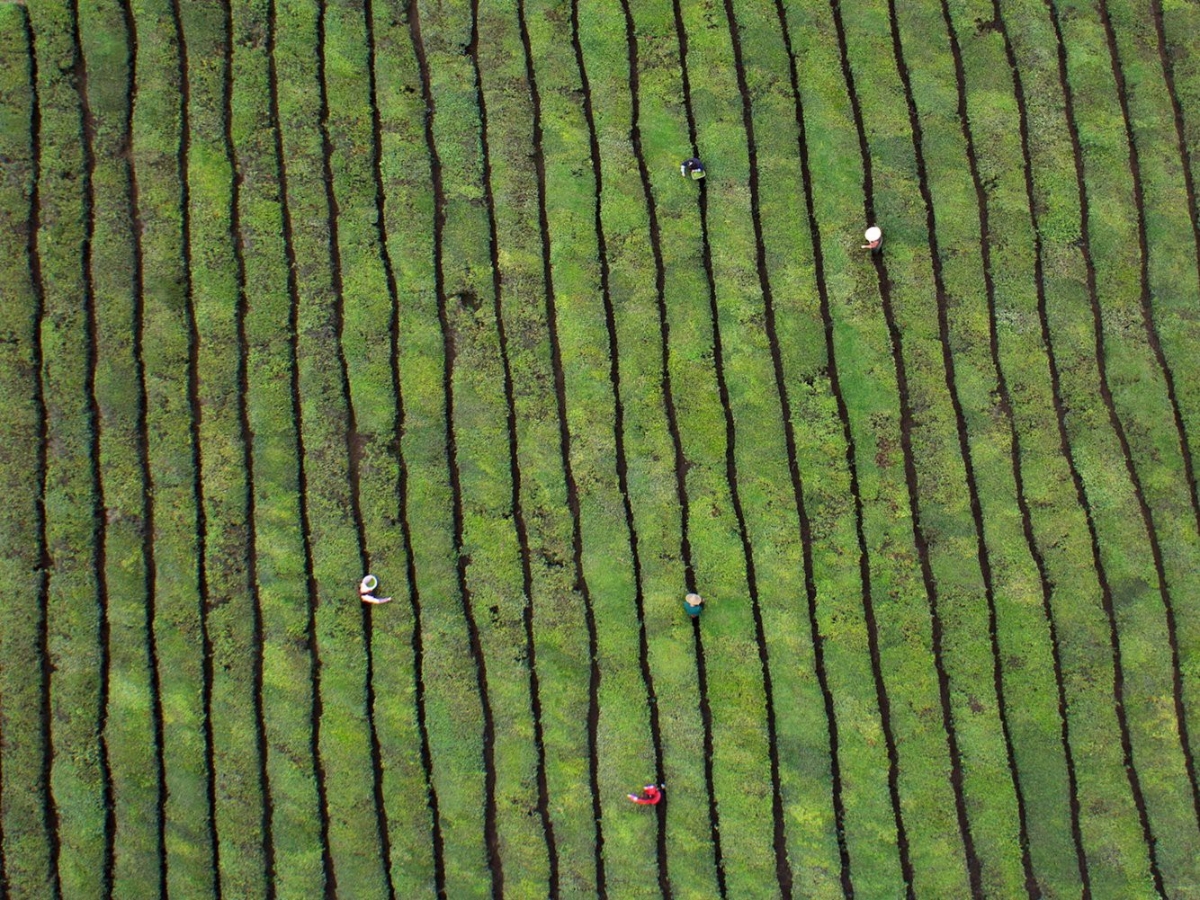 19 hình ảnh cho thấy sự khổng lồ của Trung Quốc - Ảnh 14.