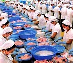 Cổ phiếu của các công ty thuộc ngành thủy sản trên sàn được dự báo cũng sẽ "ấm" dần lên.