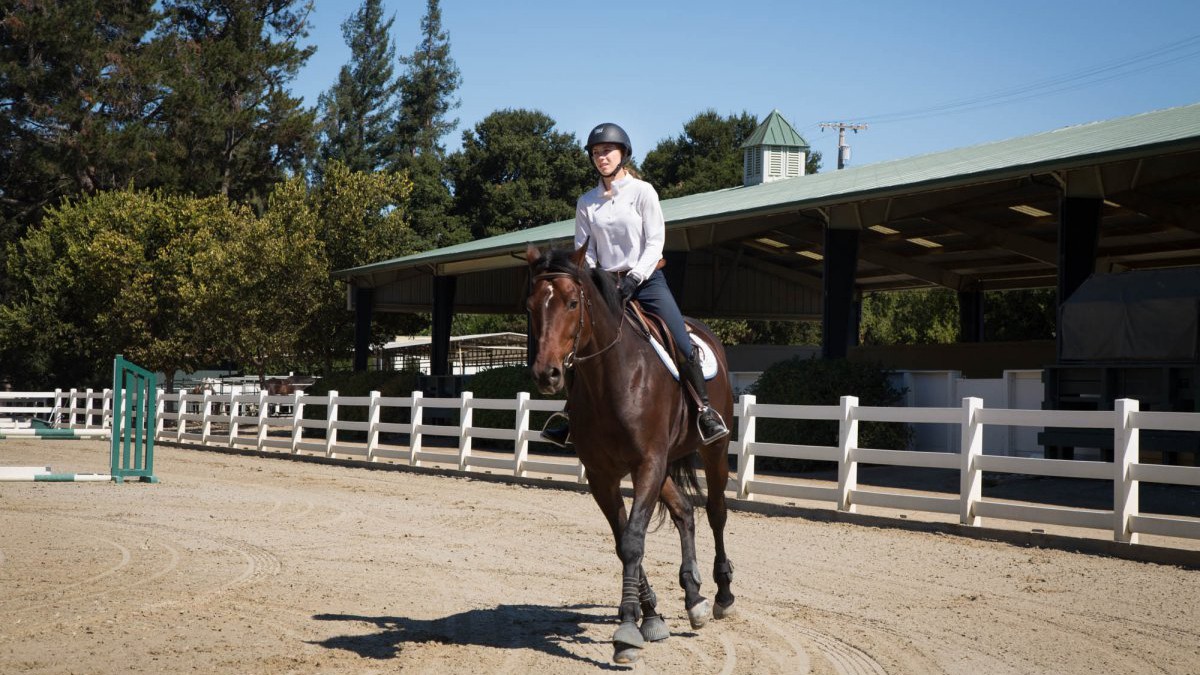 undefined - Ảnh 12.