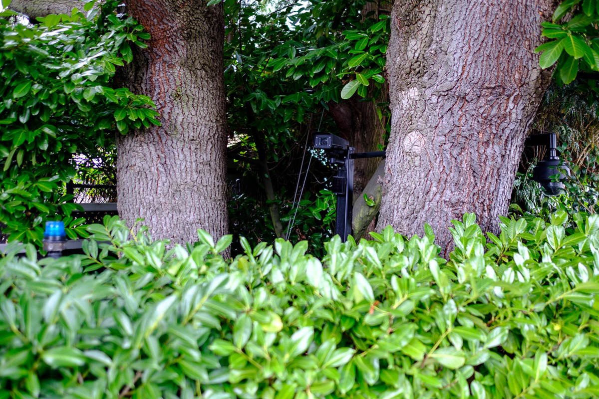 undefined - Ảnh 8.