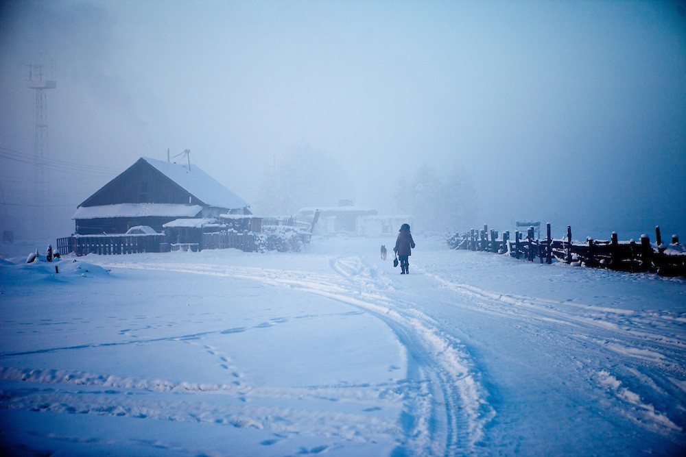 undefined - Ảnh 8.