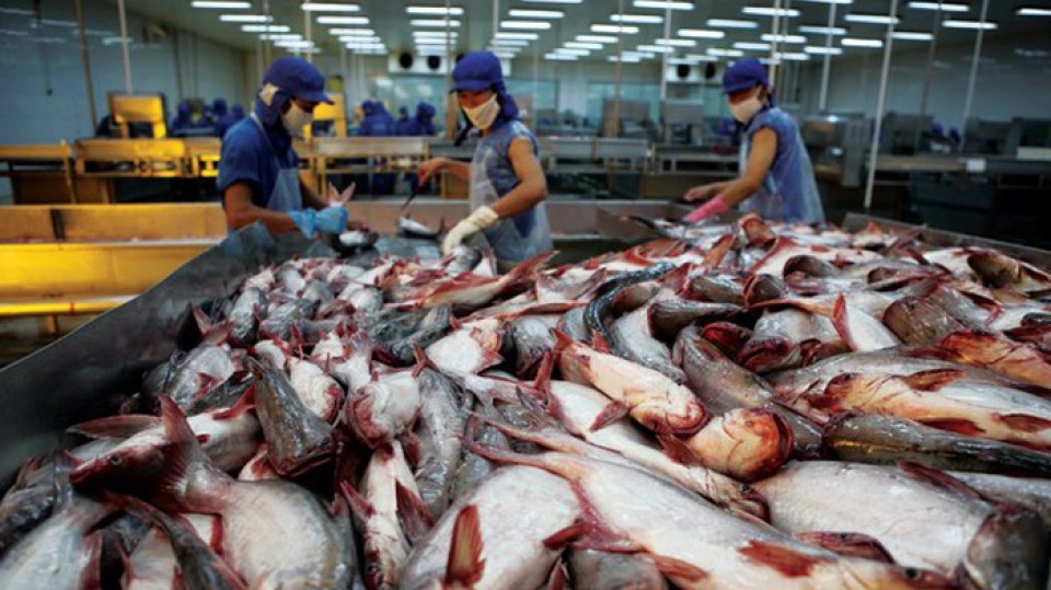 Năm 2018, HVG vẫn lỗ thuần từ hoạt động kinh doanh.