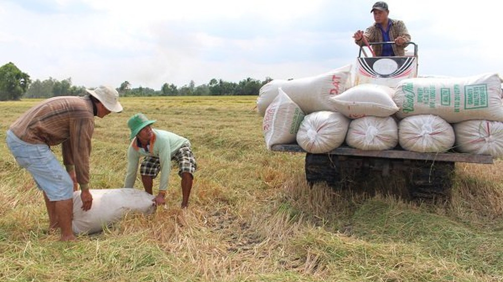Cùng với việc thực hiện đề án, số lượng hợp tác xã nông nghiệp của toàn vùng Đồng bằng sông Cửu Long cũng tăng nhanh.