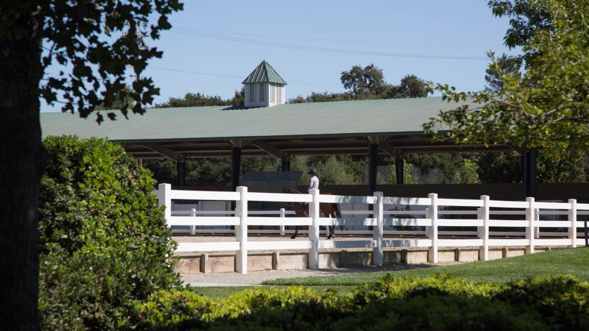 undefined - Ảnh 13.