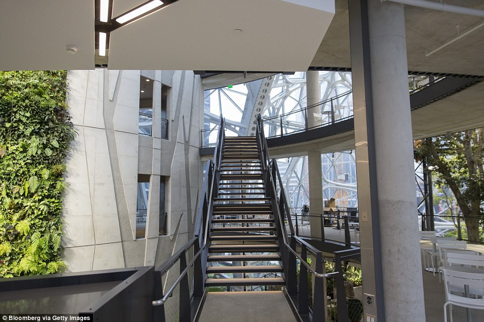 undefined - Ảnh 15.