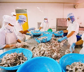 Các ngành hàng xuất khẩu, trong đó có thủy sản, đang đương đầu với vô số khó khăn.