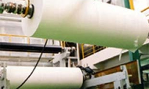 Nghịch lý nguyên liệu ngành giấy