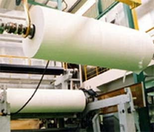 Cho đến nay, ngành công nghiệp giấy và bột giấy của Việt Nam vẫn còn nhiều hạn chế cả về công suất, thiết bị và trình độ công nghệ.