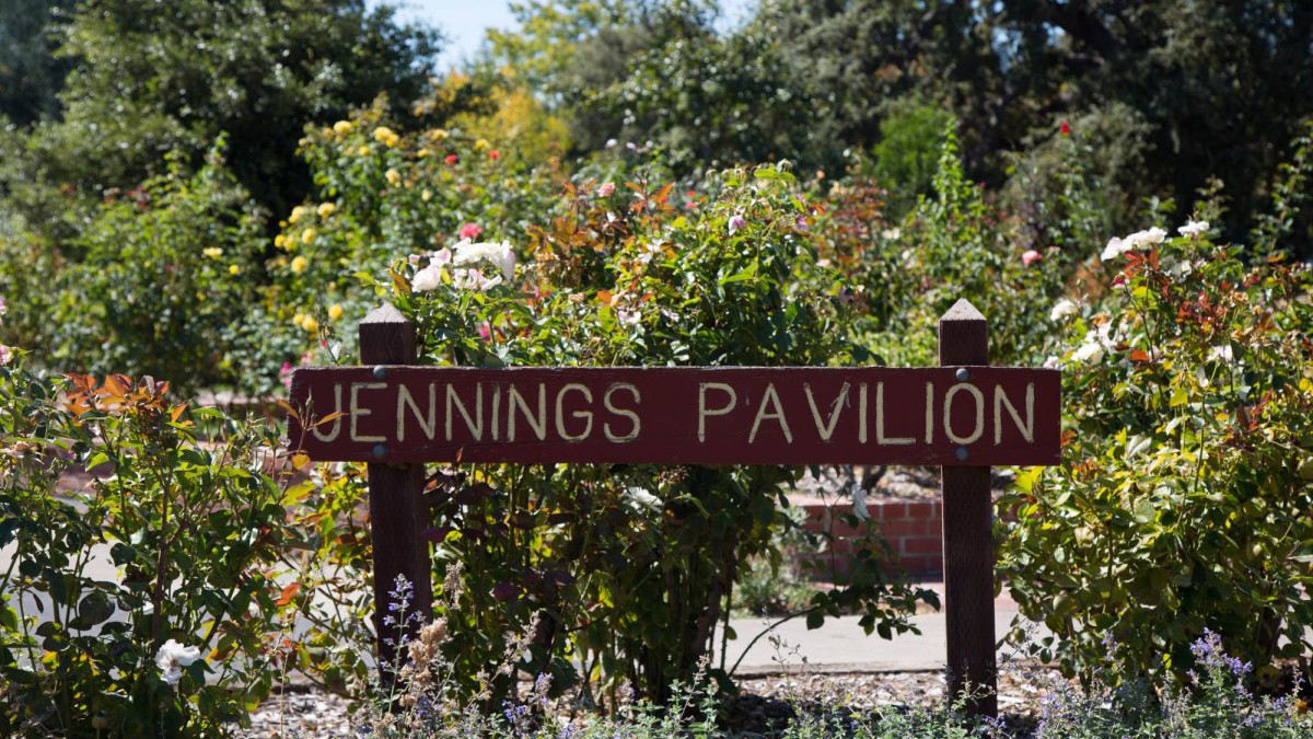 undefined - Ảnh 14.