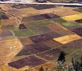 Các nước thành viên của FAO sẽ được cập nhật liên tục thông tin về khí hậu, hạn hán, cháy rừng hoặc mất cân bằng sinh thái tại khu vực đất nông nghiệp của mình.