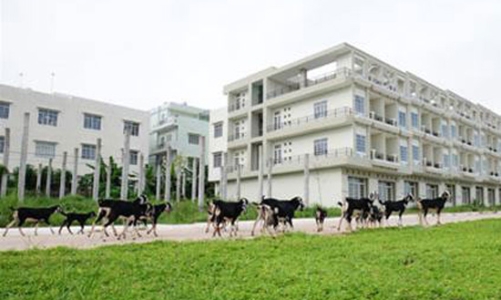 Đề xuất hàng loạt thay đổi trong chính sách đất đai