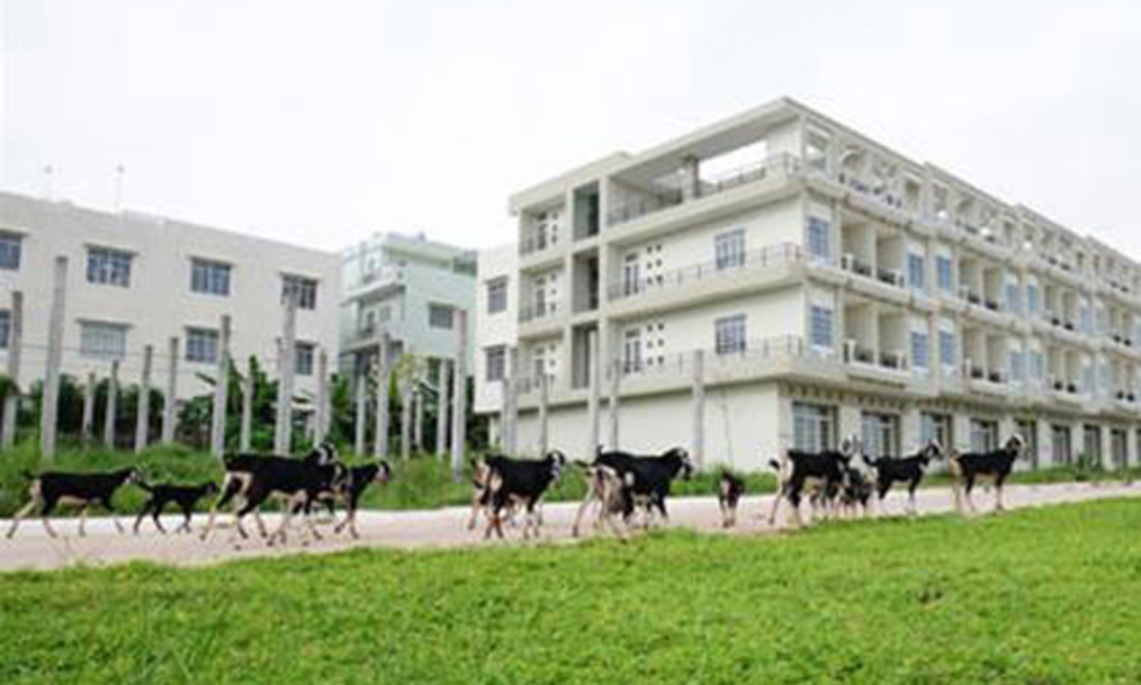 Theo Cục Quản lý công sản, cần bỏ khung giá đất và Chính phủ chỉ quy định nguyên tắc, phương pháp xác định giá đất để UBND cấp tỉnh ban hành bảng giá đất và quyết định giá đất theo cơ chế thị trường - Ảnh: TT.