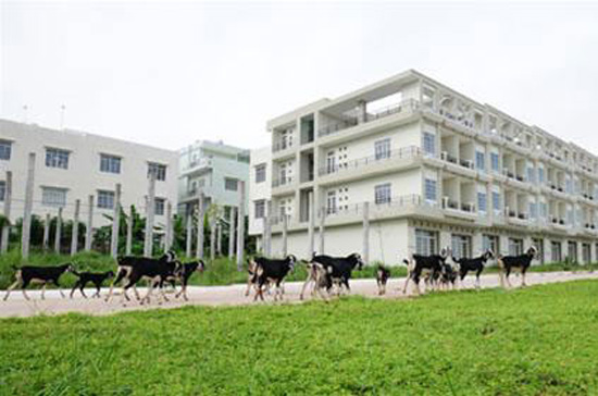 Theo Cục Quản lý công sản, cần bỏ khung giá đất và Chính phủ chỉ quy định nguyên tắc, phương pháp xác định giá đất để UBND cấp tỉnh ban hành bảng giá đất và quyết định giá đất theo cơ chế thị trường - Ảnh: TT.