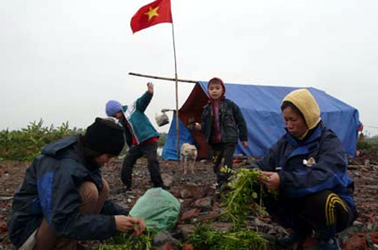 Căn lều của gia đình ông Vươn dựng trên đống hoang tàn sau vụ cưỡng chế. Nếu không giải quyết tận gốc vấn đề quyền sở hữu đất đai, tranh chấp và khiếu kiện chắc chắn sẽ tiếp tục kéo dài.