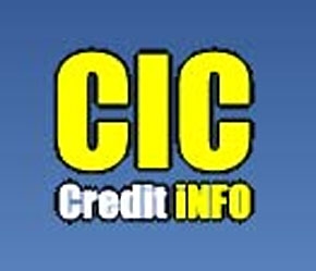 CIC là đơn vị duy nhất ở Việt Nam hơn 6 năm cung cấp kết quả, phân tích xếp hạng doanh nghiệp cho một số cơ quan quản lý nhà nước.