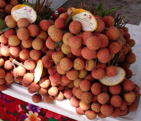 Vải thiều Thanh Hà đã được xuất khẩu sang Đức.