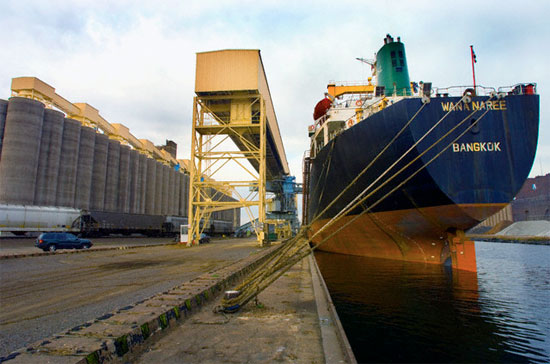 Kỳ nghỉ Tết kéo dài đã làm thay đổi xu hướng diễn biến kim ngạch xuất nhập khẩu.