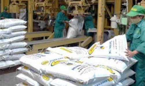 Kịch bản nào cho thị trường thức ăn chăn nuôi 2009?