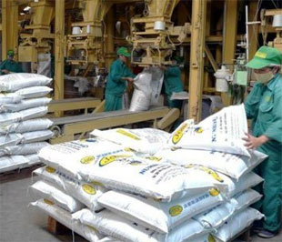 Khó khăn tài chính vẫn đè nặng lên các doanh nghiệp thức ăn chăn nuôi Việt Nam - Ảnh: TL.