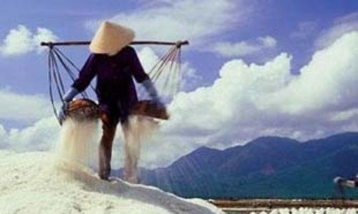 Muối không nuôi nổi diêm dân