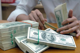 Tăng trưởng tín dụng bằng ngoại tệ tiếp tục là một điểm được chú ý trong tháng 1/2011.