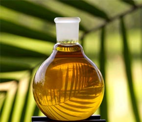 Nhu cầu tiêu thụ dầu cọ tăng vững tại nhiều nước châu Á và châu Âu.