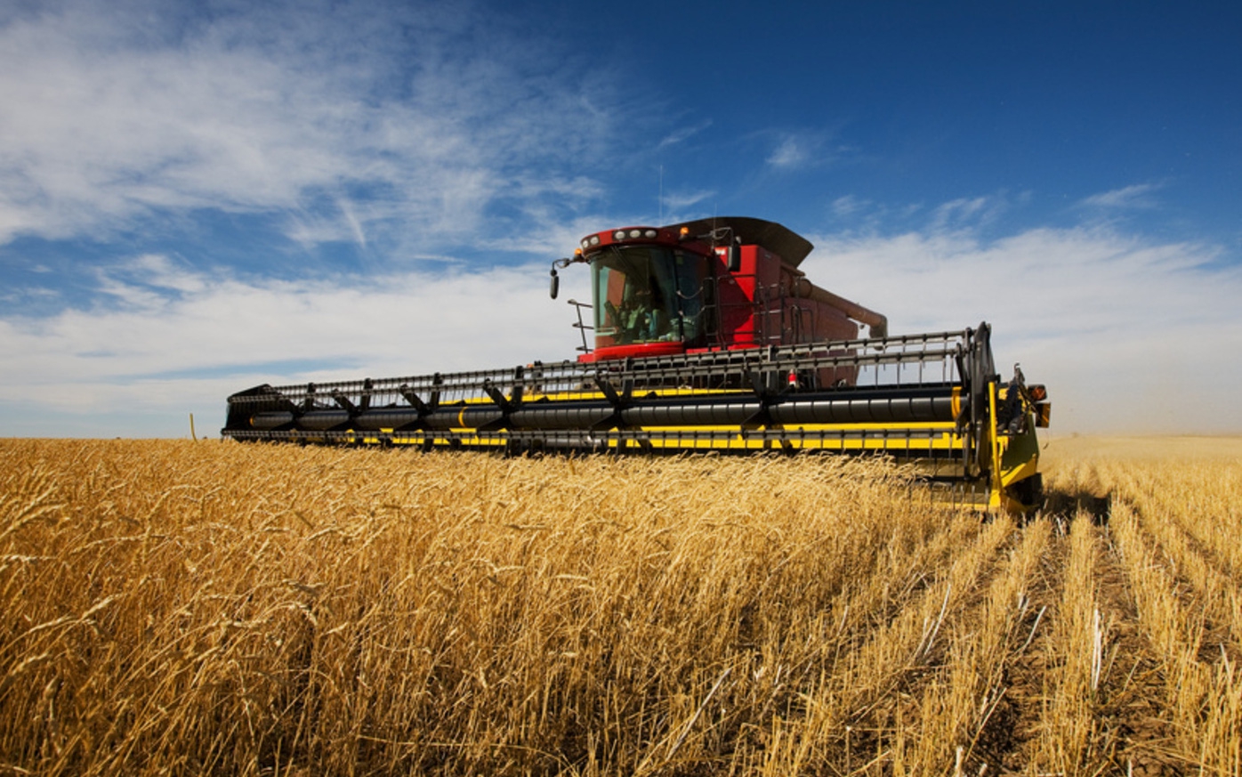 Đất nông nghiệp ở Australia đang là một kênh đầu tư được các nhà đầu tư Trung Quốc ưa thích.