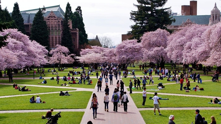 Khuôn viên trường Đại học Washington, Mỹ.