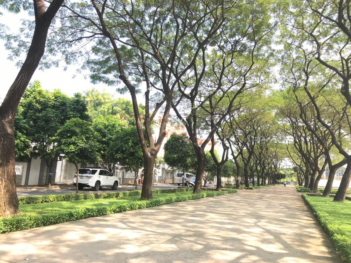 undefined - Ảnh 2.