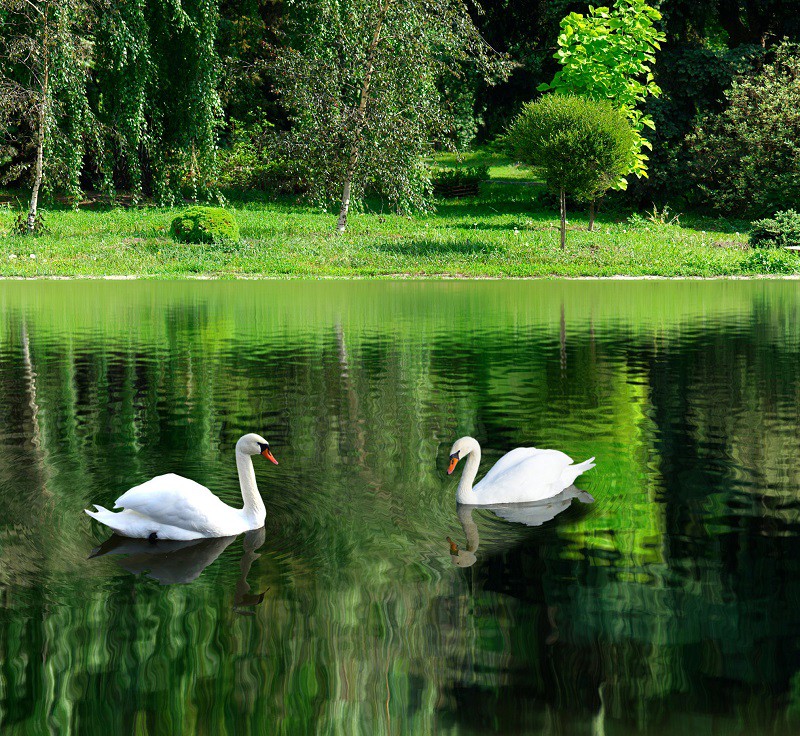 5 điểm đến tại Best Western Premier FLC Quang Binh mà du khách không nên bỏ lỡ - Ảnh 1.