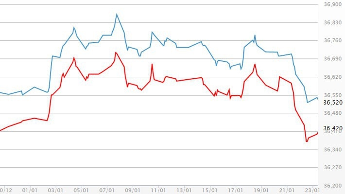 Diễn biến giá vàng SJC tại DOJI - Nguồn: DOJI.