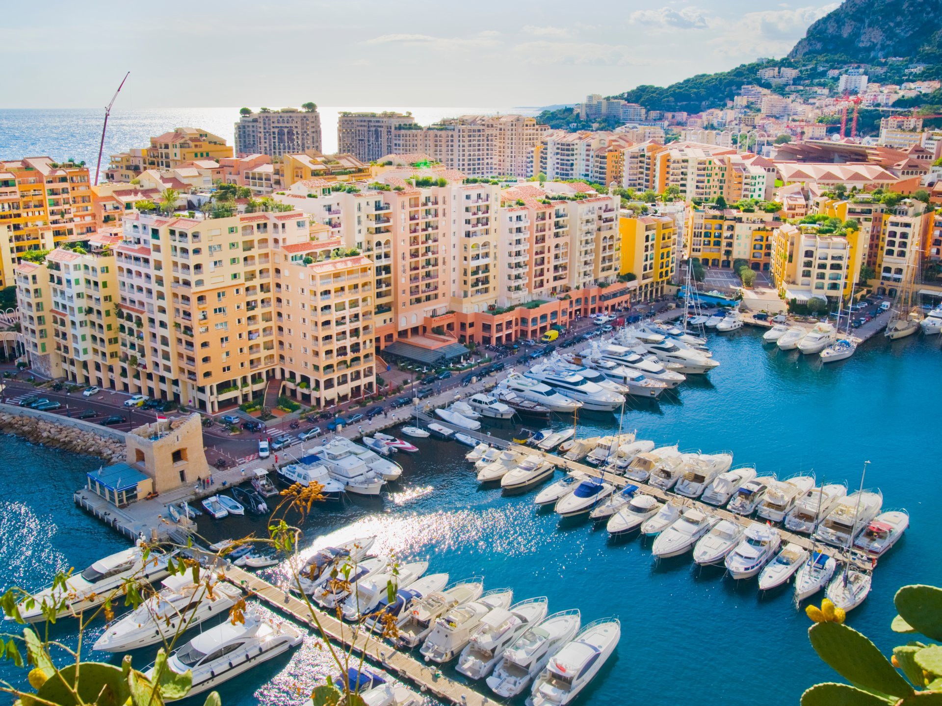 Những điều ít biết về hoàng gia Monaco - Ảnh 2.