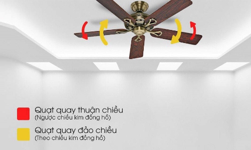 Quạt trần trang trí đang trở thành xu hướng trong nội thất