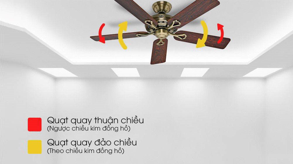 Quạt trần Hunter Savoy.