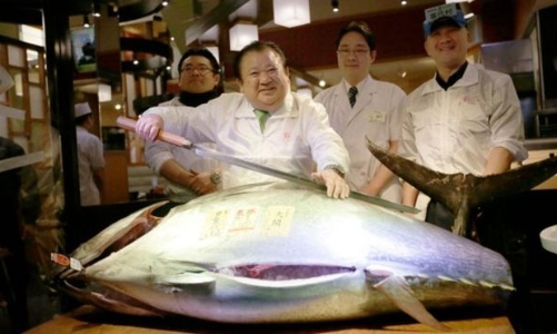 Thăm chợ đấu giá cá ngừ đầu năm ở Nhật Bản