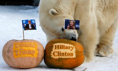 Cuộc đua vào Nhà Trắng trong mắt người dân thế giới