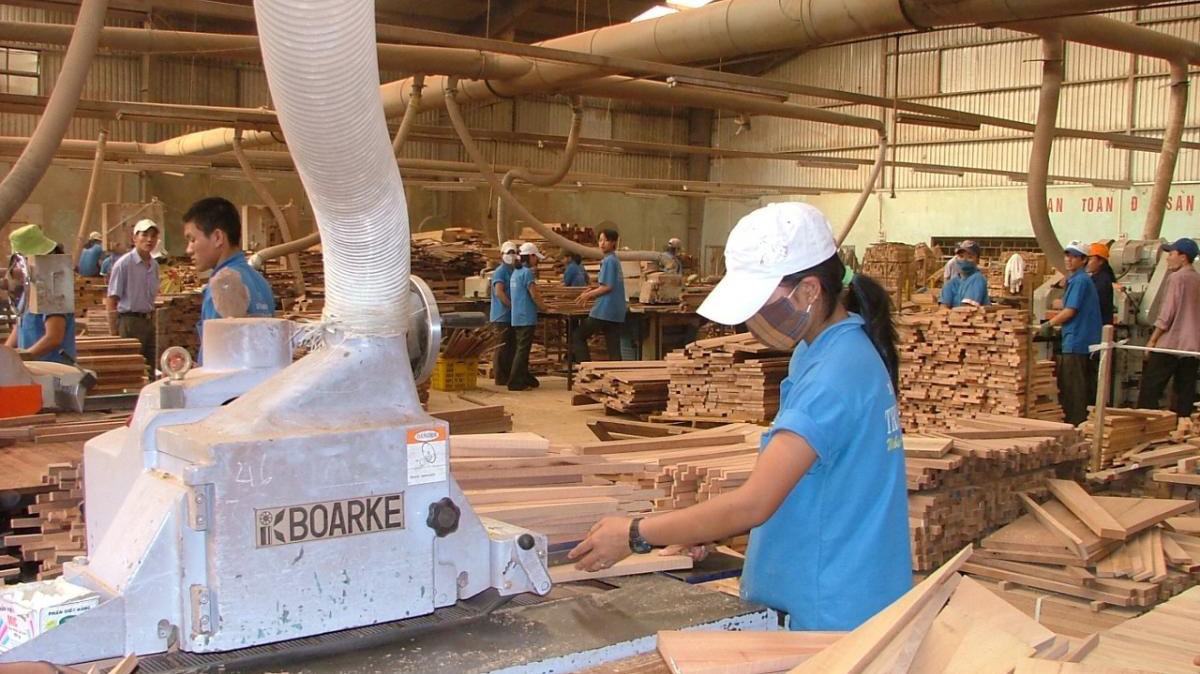 Việt Nam sẽ xây dựng hệ thống đảm bảo gỗ hợp pháp (VNTLAS) toàn diện và tin cậy nhằm đảm bảo gỗ nhập khẩu và sản phẩm gỗ có nguồn gốc hợp pháp.