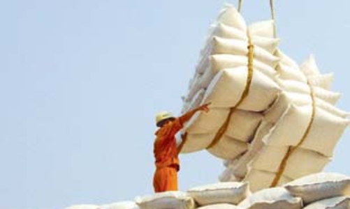 Đề xuất biện pháp khẩn cho xuất khẩu gạo